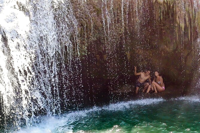 2025 Tarsier, Waterfalls & Chocolate Hills Tour - Should you book the Tarsier, Waterfalls and Chocolate Hills Tour?