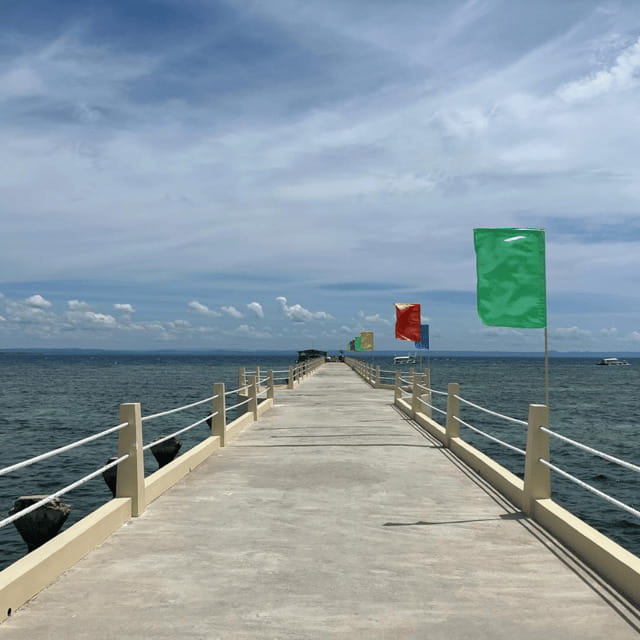 3 Islands Hopping at Gilutungan, Caohagan, Nalusuan + Lunch - Nalusuan’s second look at Cebu’s marine life