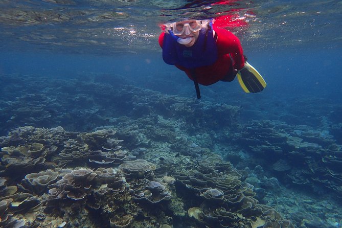 Anilao Snorkel Safari: Explore the Amazing Underwater World - The road from Manila to Anilao