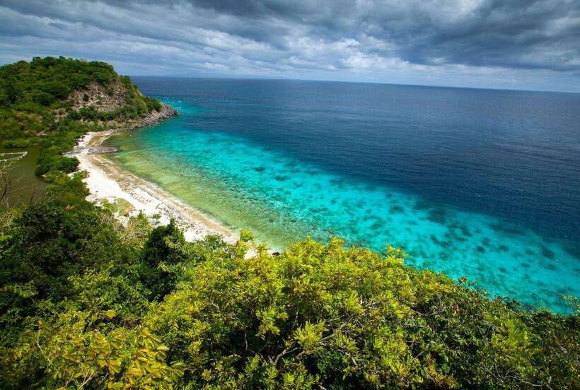 Apo Island Wonders: Snorkel with Sea Turtles in Dumaguete - Why Apo Island is the reason to make this trip