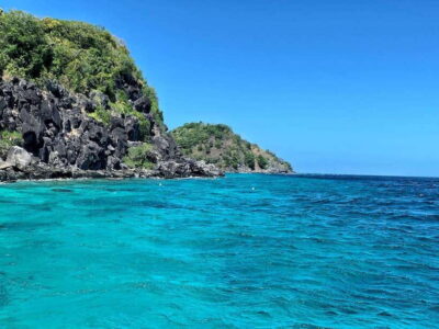 Apo Island Wonders: Snorkel with Sea Turtles in Dumaguete