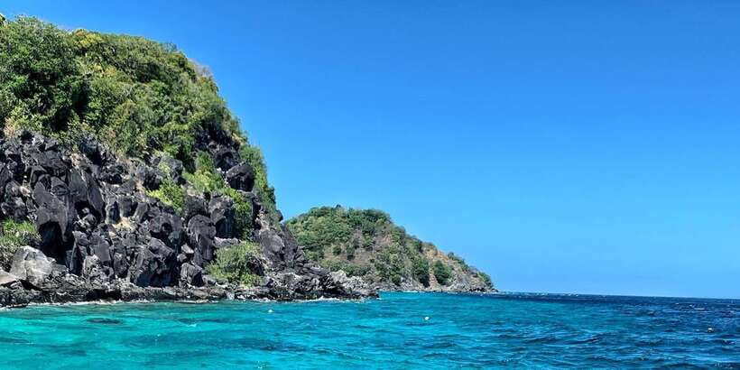 Apo Island Wonders: Snorkel with Sea Turtles in Dumaguete - Turtle etiquette makes the encounter better