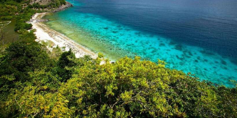Apo Island Wonders: Snorkel with Sea Turtles in Dumaguete - Who will enjoy this Apo Island day most