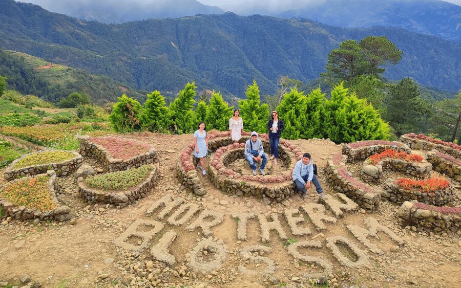 Baguio Atok Flower Blossoms (Private Tour) - What the private format is really worth