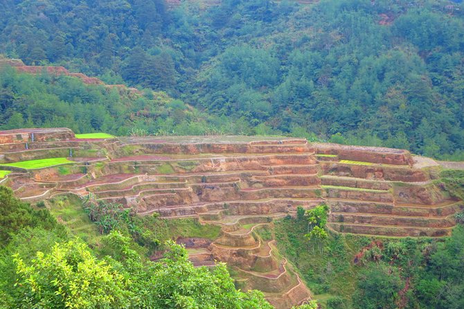 Banaue Rice Terraces Escape: 3 Days, 2 Nights with Transfers - Day 2: Batad’s bowl-shaped terraces and Tapiya Falls