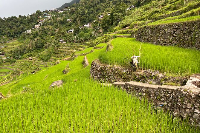 Batad Guided Tour - Walking Into Batad’s Rice Terraces
