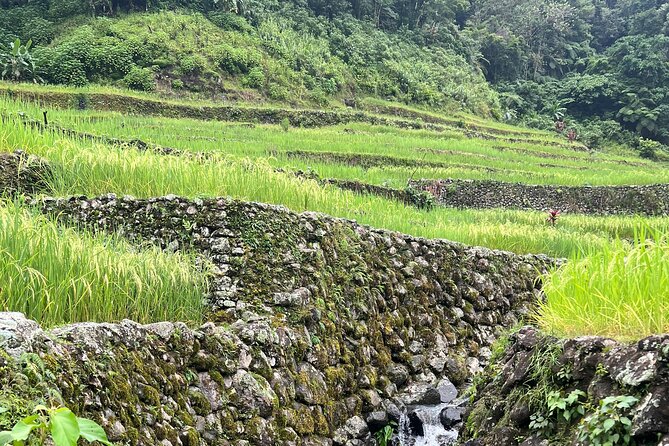Batad Guided Tour - A Flexible Six-Hour Day