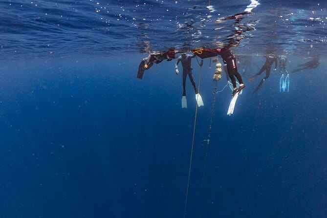 Beginner Freediving Course (with Bonus Session) - Booking details that matter
