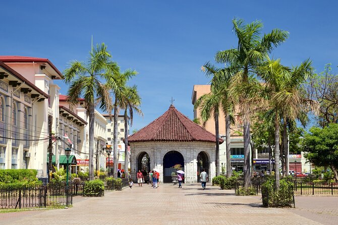 BEST OF CEBU: Cebu City Heritage with Uphill Tour | Joiners - Sirao Flower Garden, the Little Amsterdam