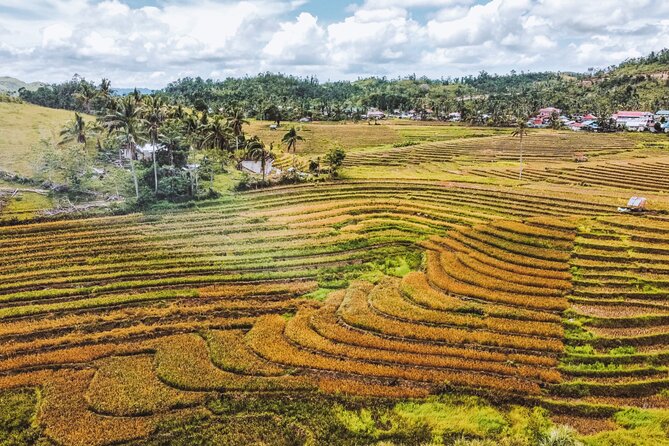Bohol Alicia Panoramic Park - The Cadapdapan Rice Terraces