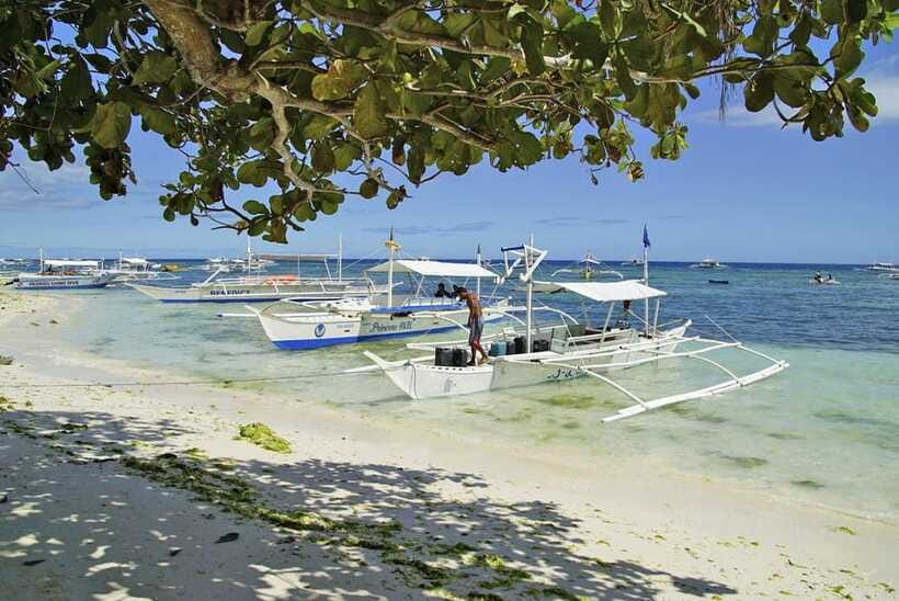 Bohol Balicasag Is Private Tour and Dolphin Watching - Crowds, closures, and realistic expectations