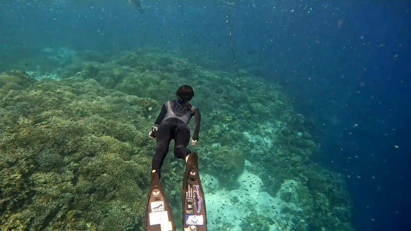 Bohol: Boat Tour to Sandbar and Snorkeling with Turtles - Balicasag Turtle Sanctuary and Coral Reef