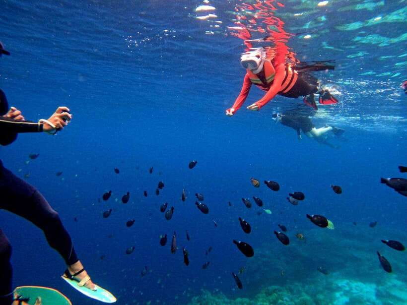 Bohol: Boat Tour to Sandbar and Snorkeling with Turtles - Virgin Island Sandbar Without a Tree in Sight