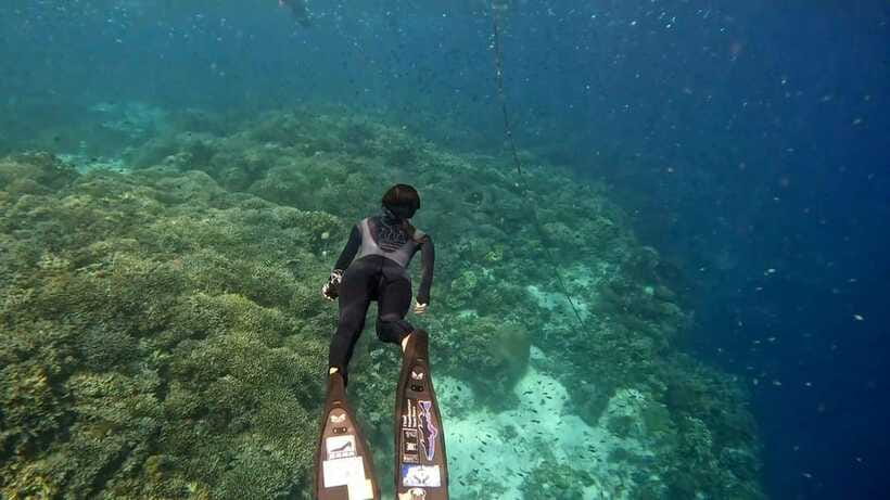 Bohol: Boat Tour to Sandbar and Snorkeling with Turtles - Should You Book It?