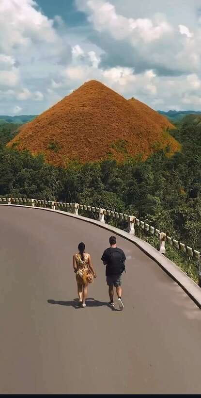 Bohol: Budget Chocolate Hills & Tarsiers -Backpacker Special - The Man-Made Forest, a cool first stop