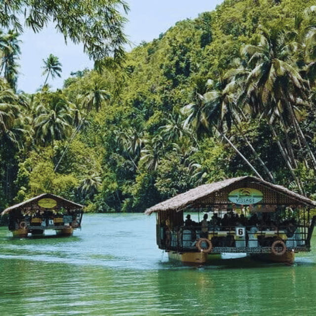 Bohol: Choco Tour + Loboc River Lunch Buffet + ATV Adventure - Tarsier Sanctuary: a quiet wildlife stop