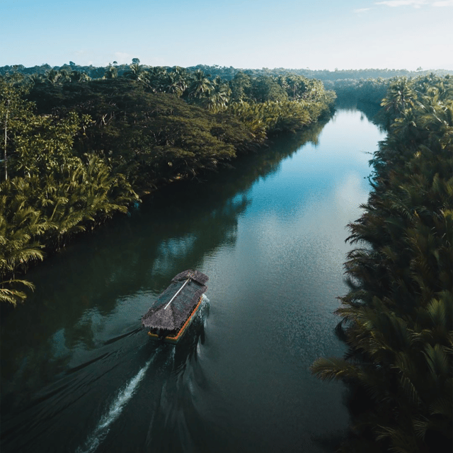 Bohol: Choco Tour + Rio Verde Lunch Buffet - The tarsier conservation stop