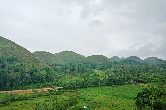 Bohol Chocolate hills and Waterfalls Ecotour - A green road through the Bilar Man-Made Forest