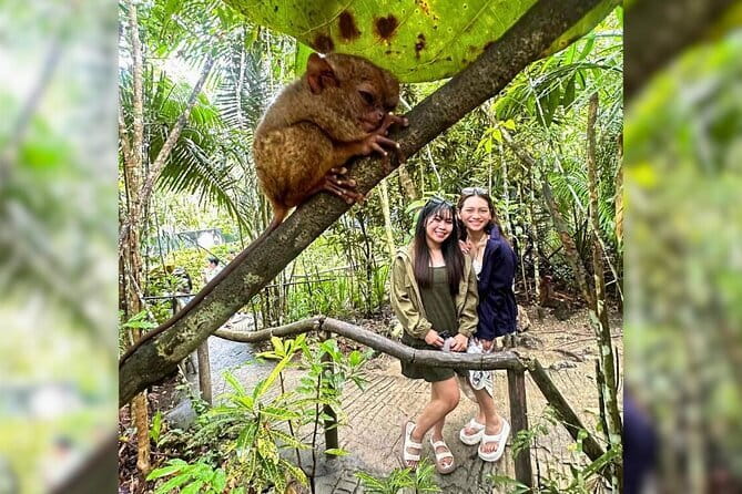Bohol Chocolate Hills, Tarsiers & Loboc River Private Tour - The Blood Compact Monument and Baclayon Church