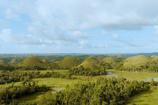 Bohol Chocolate Hills, Tarsiers & Loboc River Shared Tour - What the vehicle and group size mean