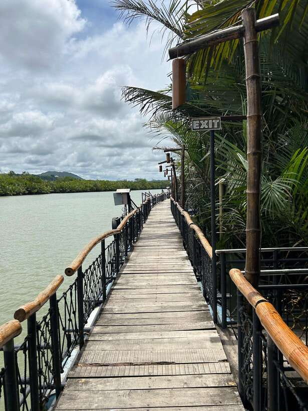 Bohol: Chocolate Hills Tour with Loboc River Cruise & Lunch - At a glance