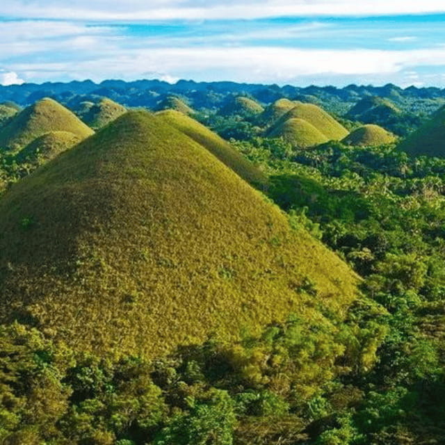 Bohol: Chocolate Hills Tour with Loboc River Cruise & Lunch - Man-Made Forest and the road inland