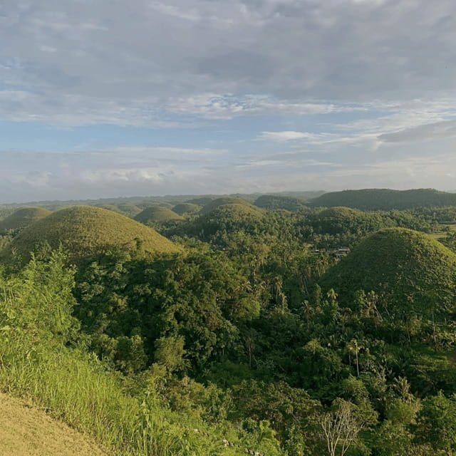 Bohol Chocolate Hills Tour with Loboc River Lunch Buffet - What $58 really covers