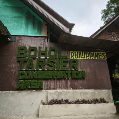 Bohol Chocolate Hills Tour with Loboc River Lunch Buffet