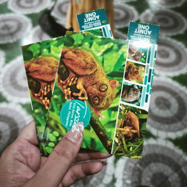 Bohol Chocolate Hills Tour with Loboc River Lunch Buffet - The Man-Made Forest offers a cool, quick pause