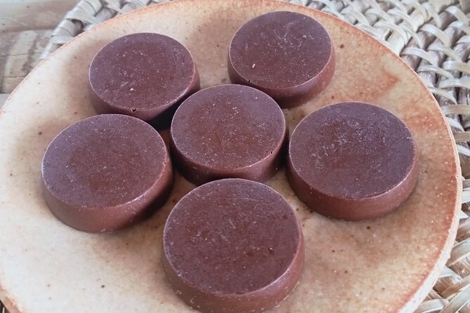 Bohol Chocolate Making and Farm Tour - From Chocolate Hills scenery to a working cacao farm