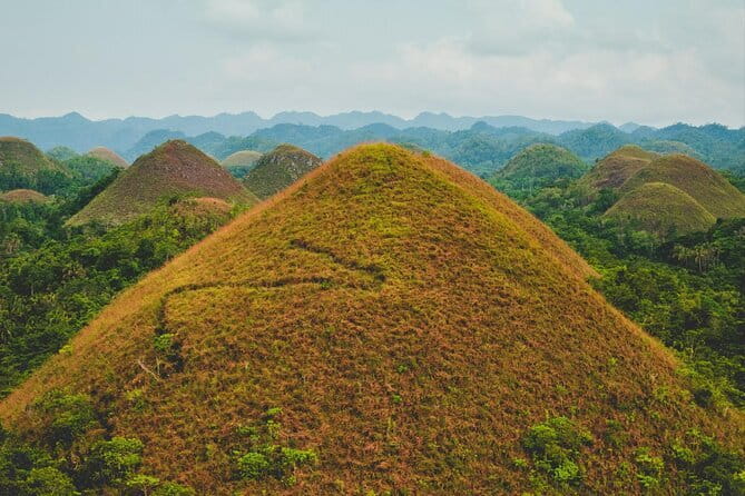 Bohol Country Side Tour - Private w/ Lunch - Bilar’s mahogany forest, a cool change of pace