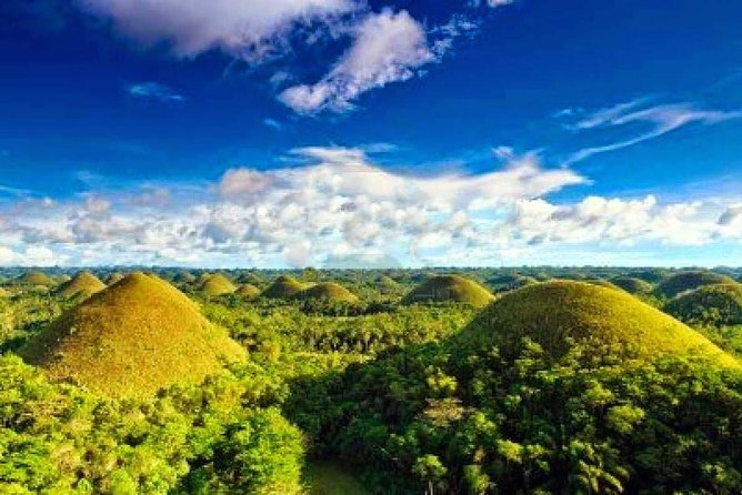 Bohol Countryside Day Tour From Cebu City | Lunch at Loboc River Cruise - Tarsier Conservation Area: the most memorable encounter