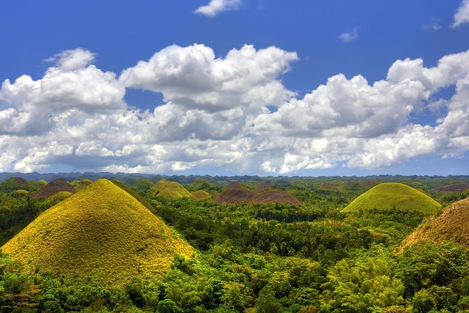 Bohol Countryside Day Tour From Cebu City | Lunch at Loboc River Cruise - Guides can shape the whole day