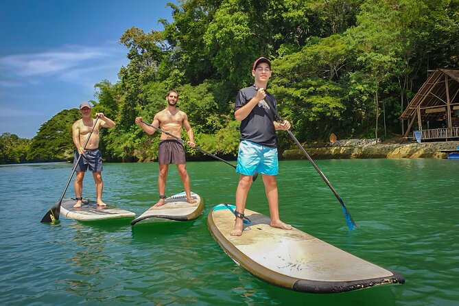 Bohol Countryside Tour: Chocolate Hills, Tarsier and Loboc River - Paddleboarding on the Loboc River