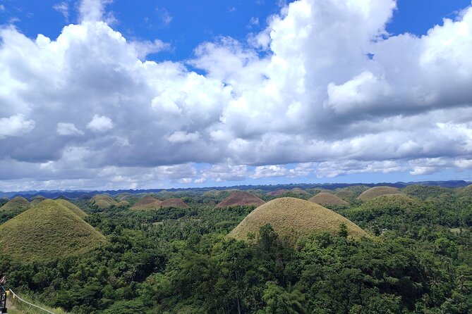 Bohol Countryside Tour to Chocolate Hills and Loboc River - One long Bohol day from Panglao