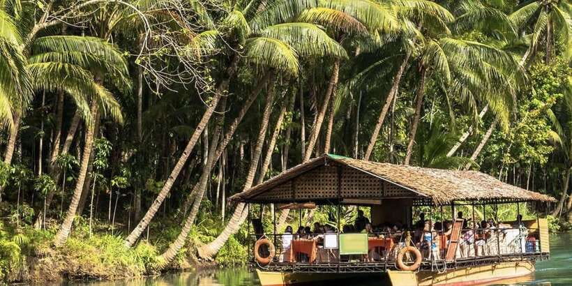 Bohol: Countryside Tour with Loboc (Buffet Lunch) - The man-made forest makes a useful road stop