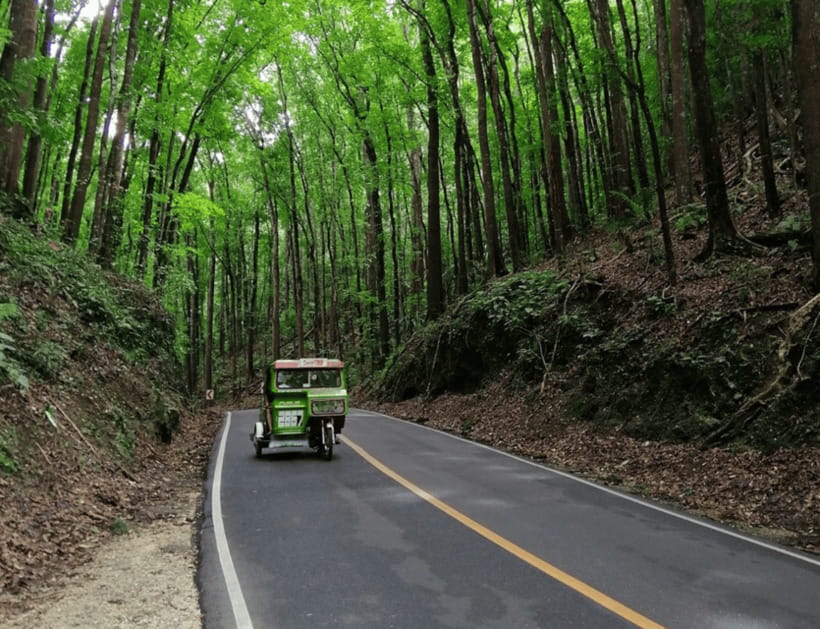 Bohol: Countryside Tour with Tarsiers and Chocolate Hills - Pickup details and the shared-van tradeoff