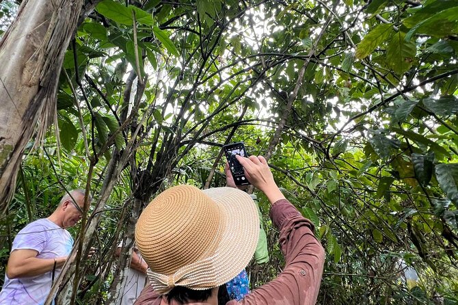 Bohol Day Tour with Round-Trip Transfers from Cebu - Meeting the Philippine tarsier at the wildlife sanctuary