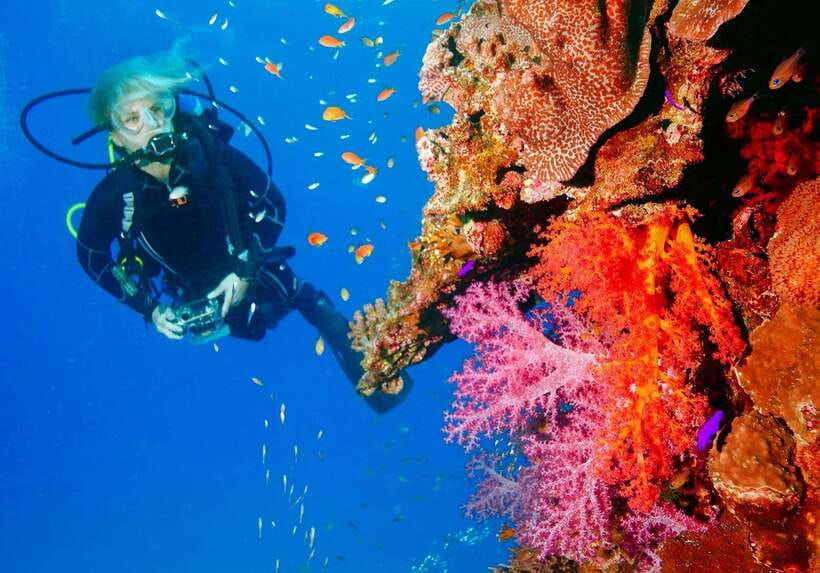 Bohol: Discover Scuba Diving - No Experience Needed - Key points to know before you book