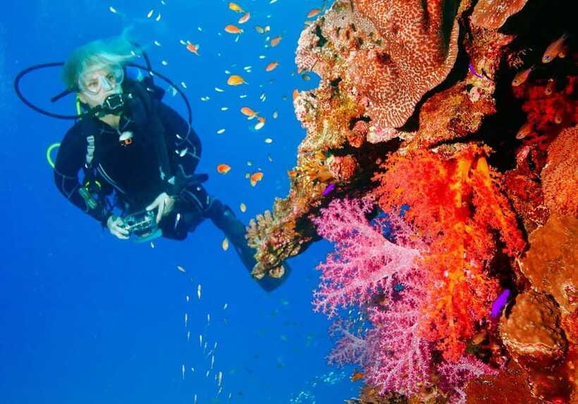 Bohol: Discover Scuba Diving - No Experience Needed - What the equipment and included costs mean