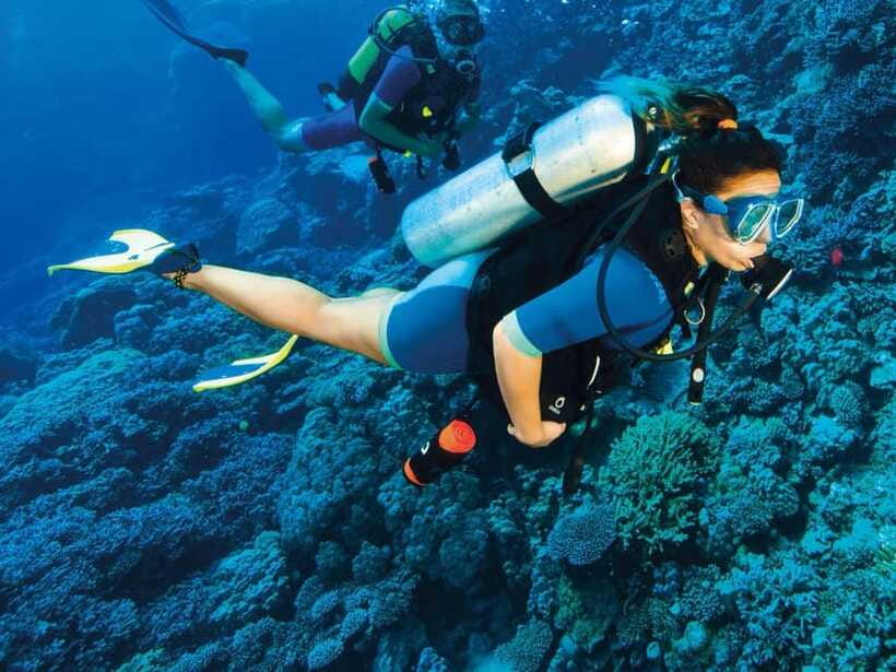 Bohol: Discover Scuba Diving - No Experience Needed - How to make the most of your three hours