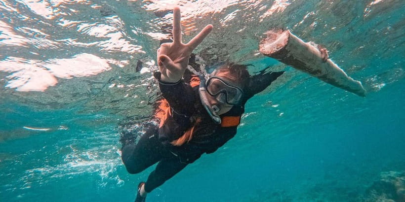 Bohol Dolphin Watching, Balicasag, and Virgin Island Tour - Dolphin watching with no promise of a sighting