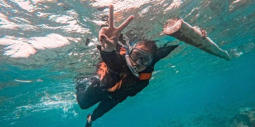 Bohol Dolphin Watching, Balicasag, and Virgin Island Tour - Should you book the Bohol dolphin and snorkeling tour?