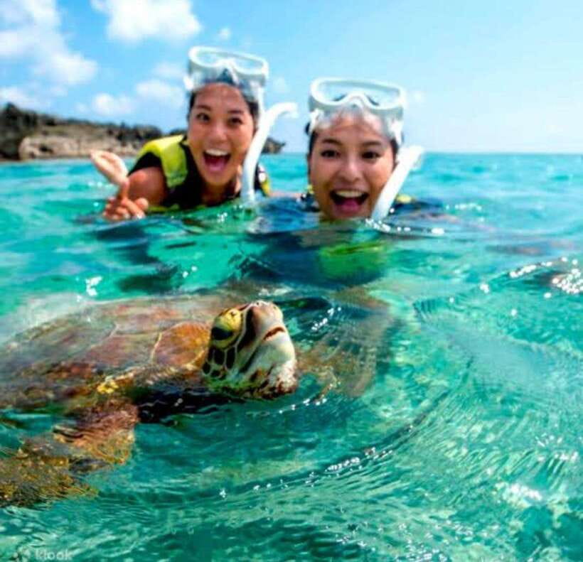 Bohol: Dolphin Watching & Sea Turtle Swim Island Tour - Swimming with sea turtles near Balicasag