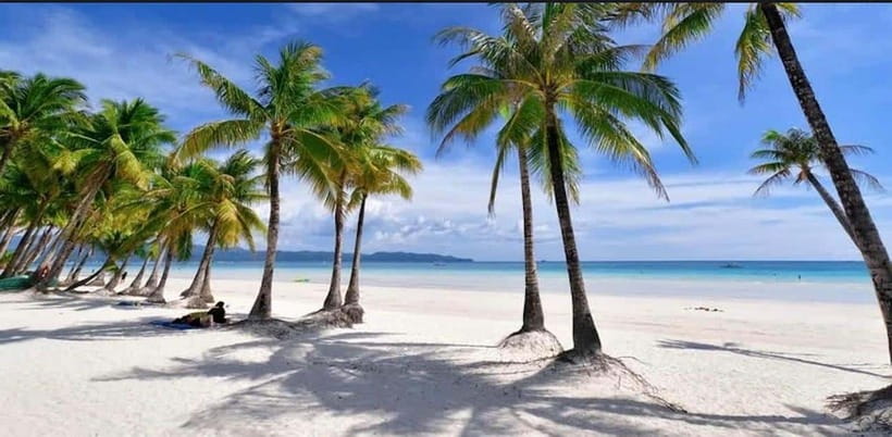 Bohol: Dolphin Watching & Sea Turtle Swim Island Tour - The main drawbacks you should weigh
