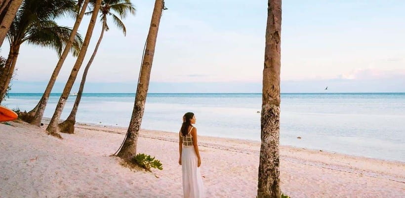 Bohol: Dolphin Watching & Sea Turtle Swim Island Tour - Who should book this Bohol boat tour?