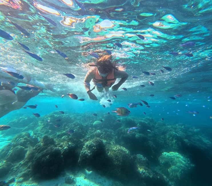 BOHOL: Dolphin Watching, Turtle Swim and Party Boat - Meeting at Panglao before sunrise