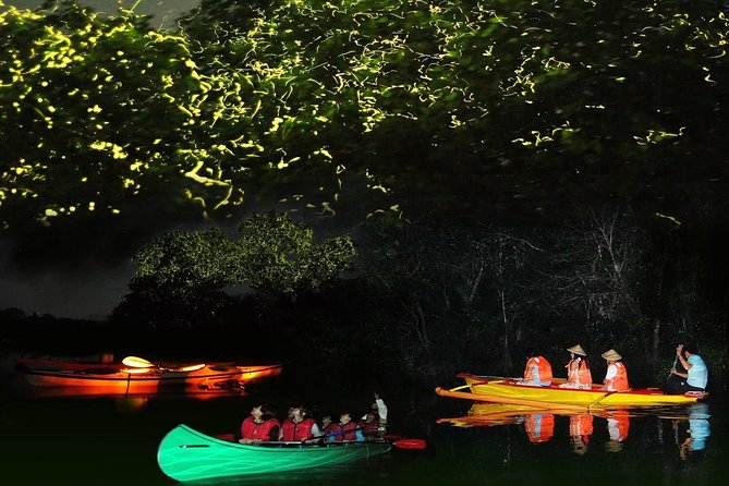 Bohol Firefly Watching (Private) - Key points to know before you book