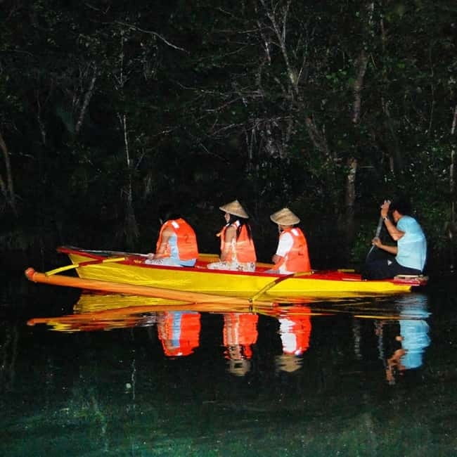 Bohol: Firefly Watching Shared Tour - What the Bohol firefly tour is really about