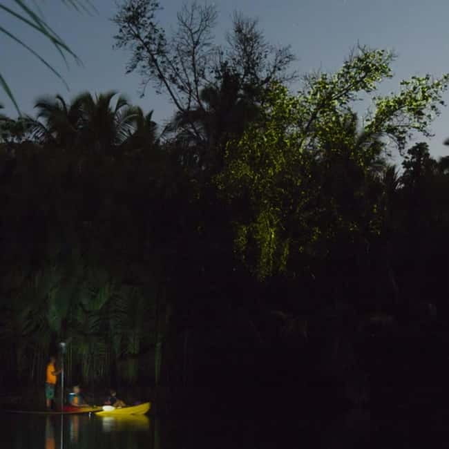 Bohol: Firefly Watching Shared Tour - Leaving Panglao for Loboc